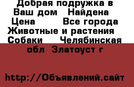 Добрая подружка,в Ваш дом!!!Найдена › Цена ­ 10 - Все города Животные и растения » Собаки   . Челябинская обл.,Златоуст г.